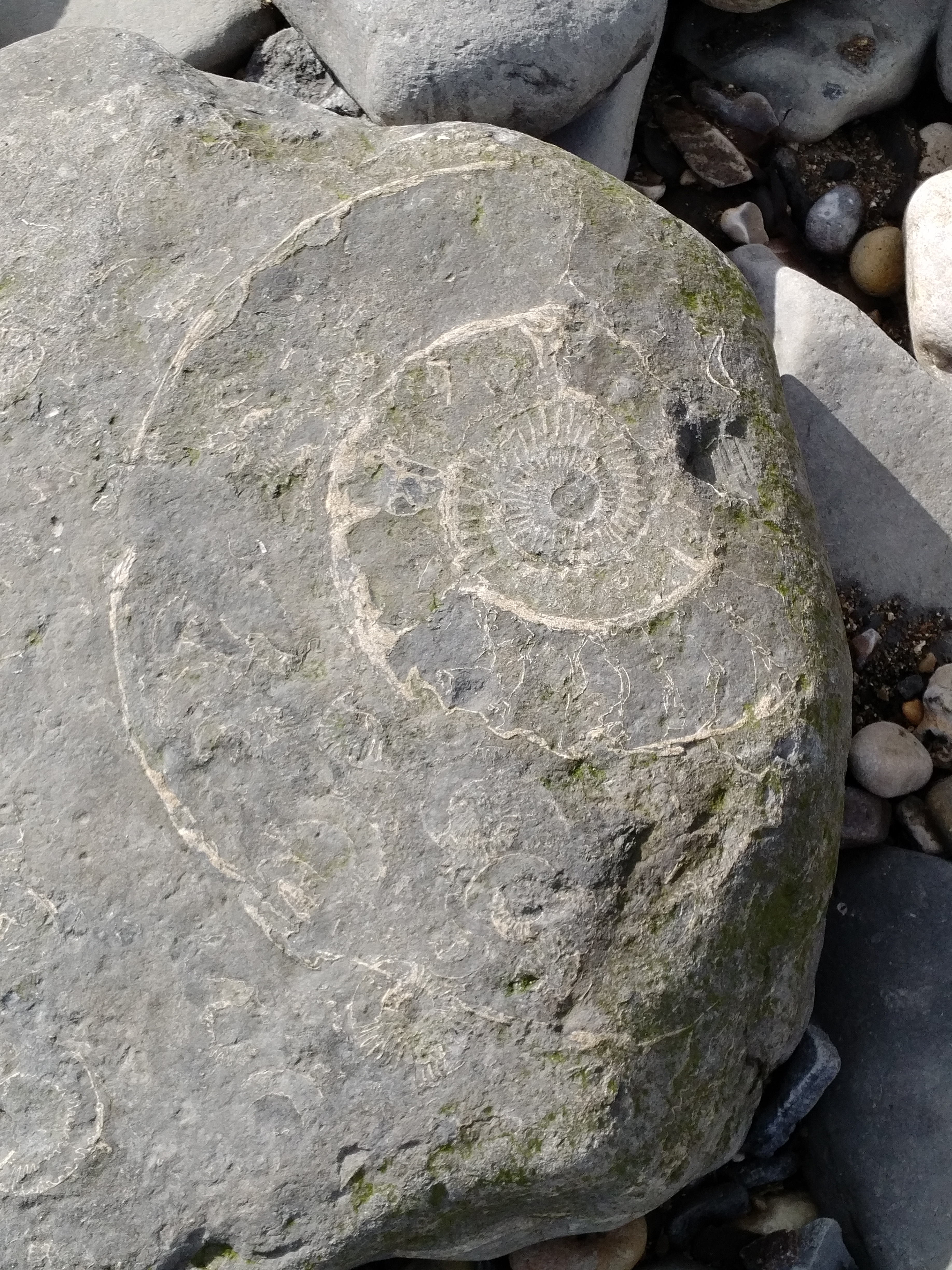 img_20181026_1405137